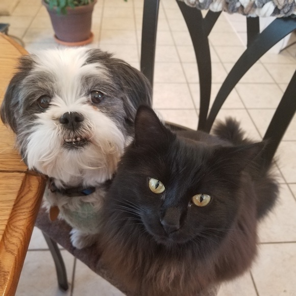 Meet your Posher, Wendi - Picture 2 of 3